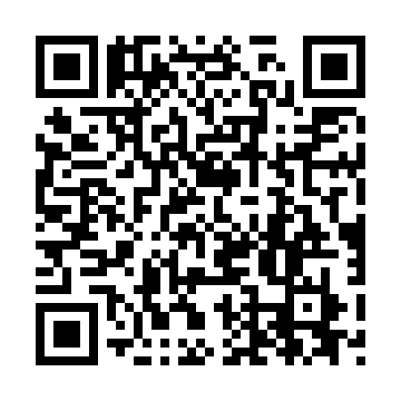 @wynnsoft-solution